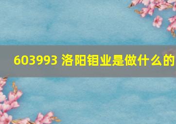 603993 洛阳钼业是做什么的